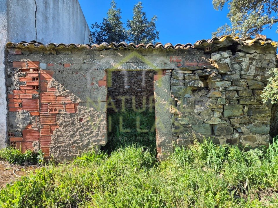 Terreno para Venda em Salir Foto 4