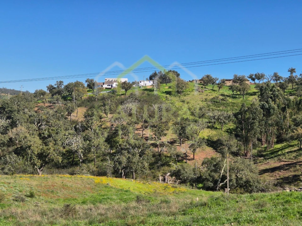 Terreno para Venda em Salir Foto 9