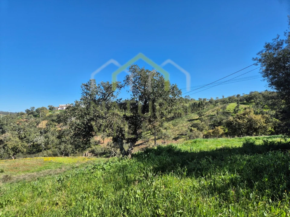 Terreno para Venda em Salir Foto 10