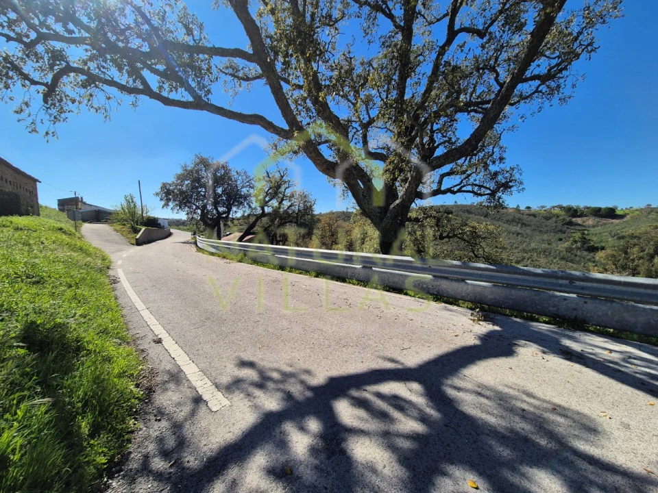 Terreno para Venda em Salir Foto 12