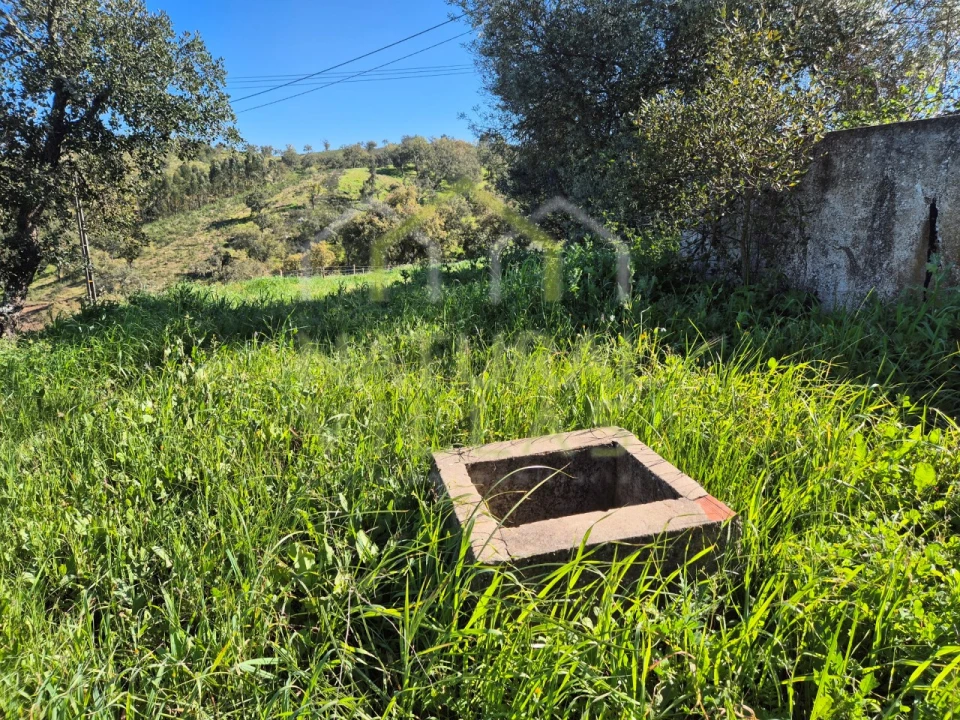 Terreno para Venda em Salir Foto 14