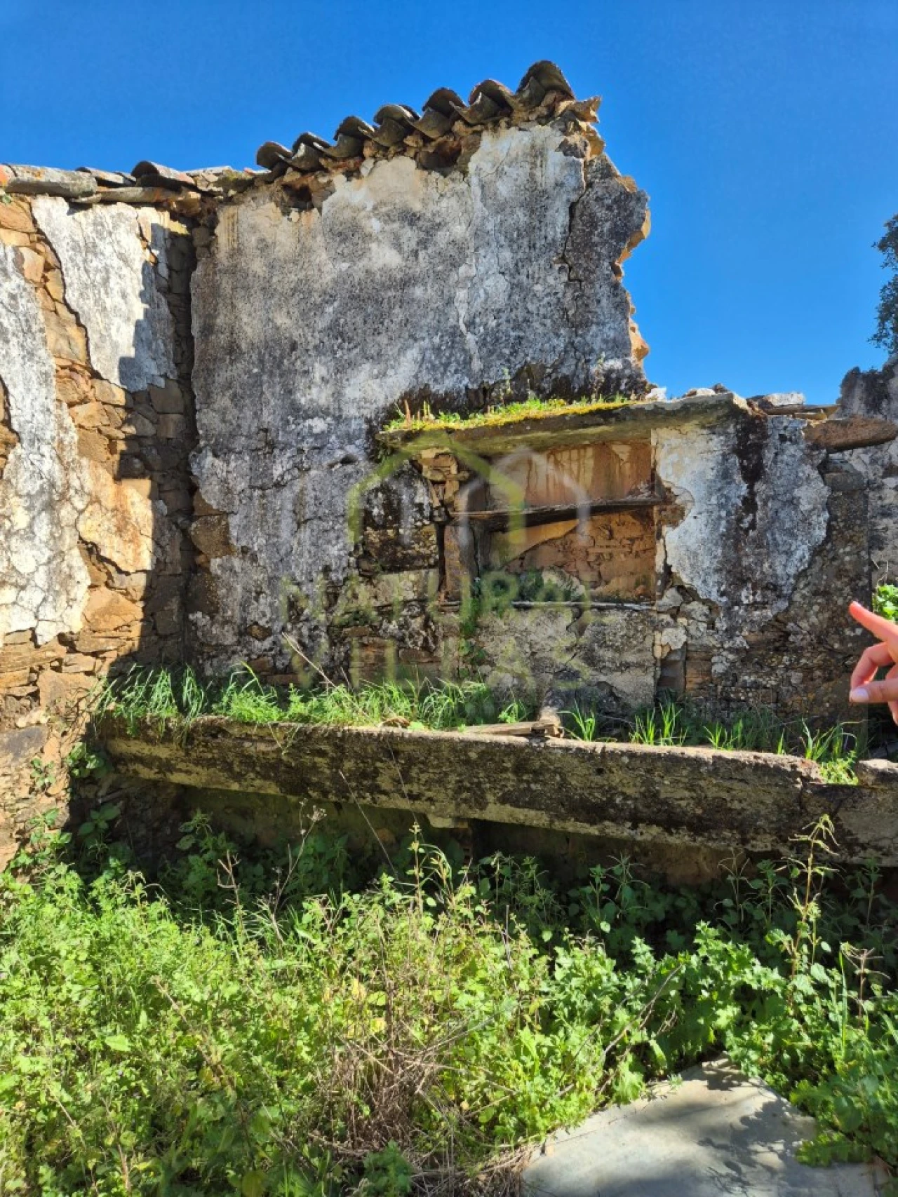 Terreno para Venda em Salir Foto 17