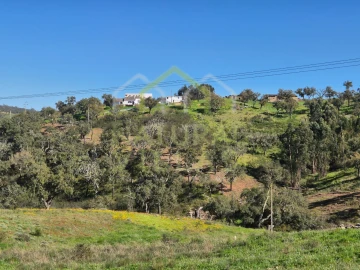 Terreno para Venda em Salir