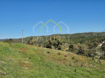 Terreno para Venda em Salir
