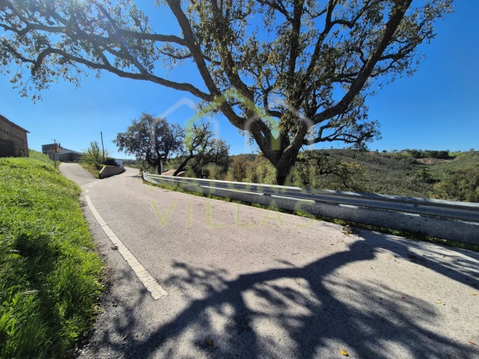Terreno para Venda em Salir Foto 12