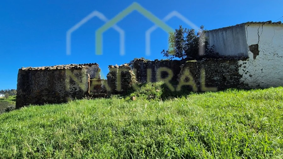 Terreno para Venda em Salir