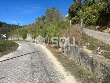 Terreno para Venda em Baião (Santa Leocádia) e Mesquinhata