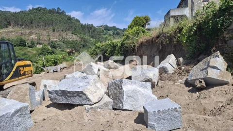 Terreno para Venda em Baião (Santa Leocádia) e Mesquinhata