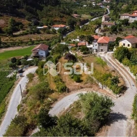 Terreno para Venda em Baião (Santa Leocádia) e Mesquinhata