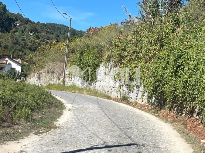Terreno para Venda em Baião (Santa Leocádia) e Mesquinhata Foto 4