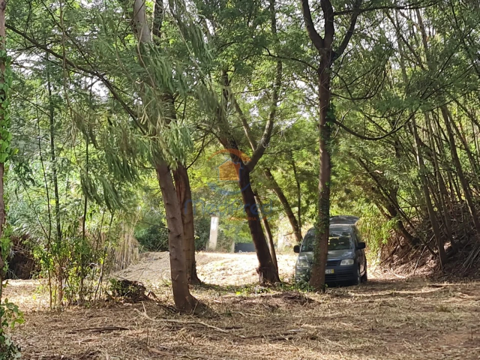 Quinta para Venda em Aldeia Galega da Merceana e Aldeia Gavinha Foto 3