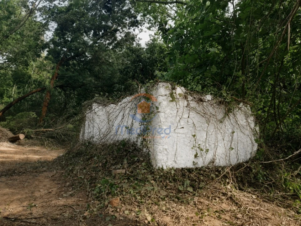 Quinta para Venda em Aldeia Galega da Merceana e Aldeia Gavinha Foto 4