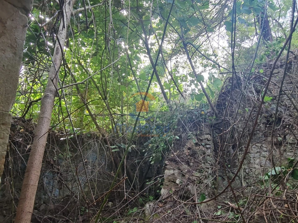 Quinta para Venda em Aldeia Galega da Merceana e Aldeia Gavinha Foto 6