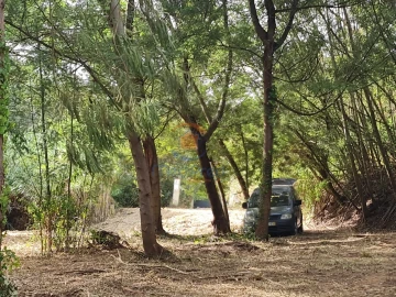 Quinta para Venda em Aldeia Galega da Merceana e Aldeia Gavinha