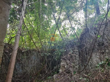 Quinta para Venda em Aldeia Galega da Merceana e Aldeia Gavinha