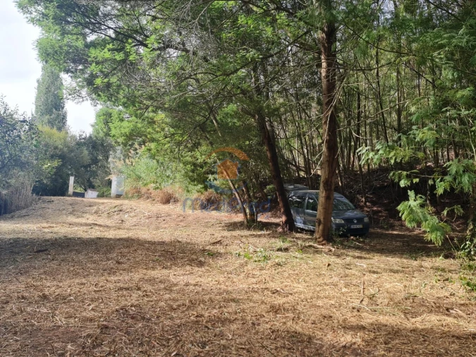 Quinta para Venda em Aldeia Galega da Merceana e Aldeia Gavinha Foto 5