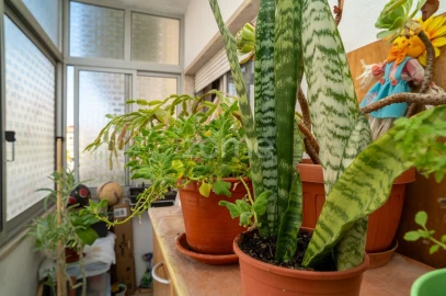 Apartamento T3 para Venda em Corroios
