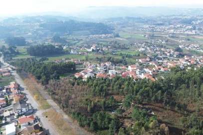 Terreno para Venda em Macieira da Lixa e Caramos