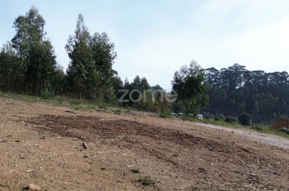 Terreno para Venda em Macieira da Lixa e Caramos