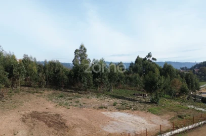 Terreno para Venda em Macieira da Lixa e Caramos
