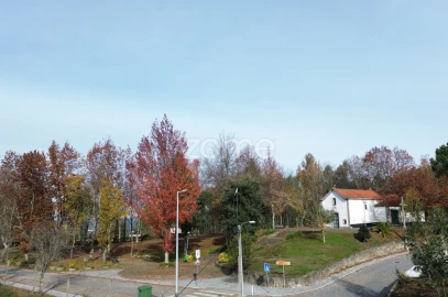 Terreno para Venda em Macieira da Lixa e Caramos
