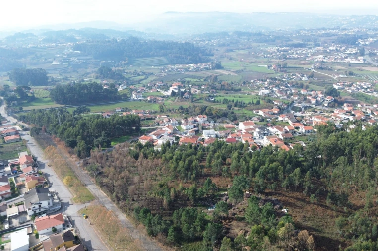Terreno para Venda em Macieira da Lixa e Caramos Foto 3