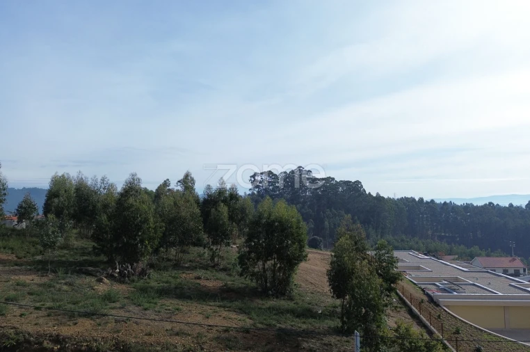 Terreno para Venda em Macieira da Lixa e Caramos Foto 13