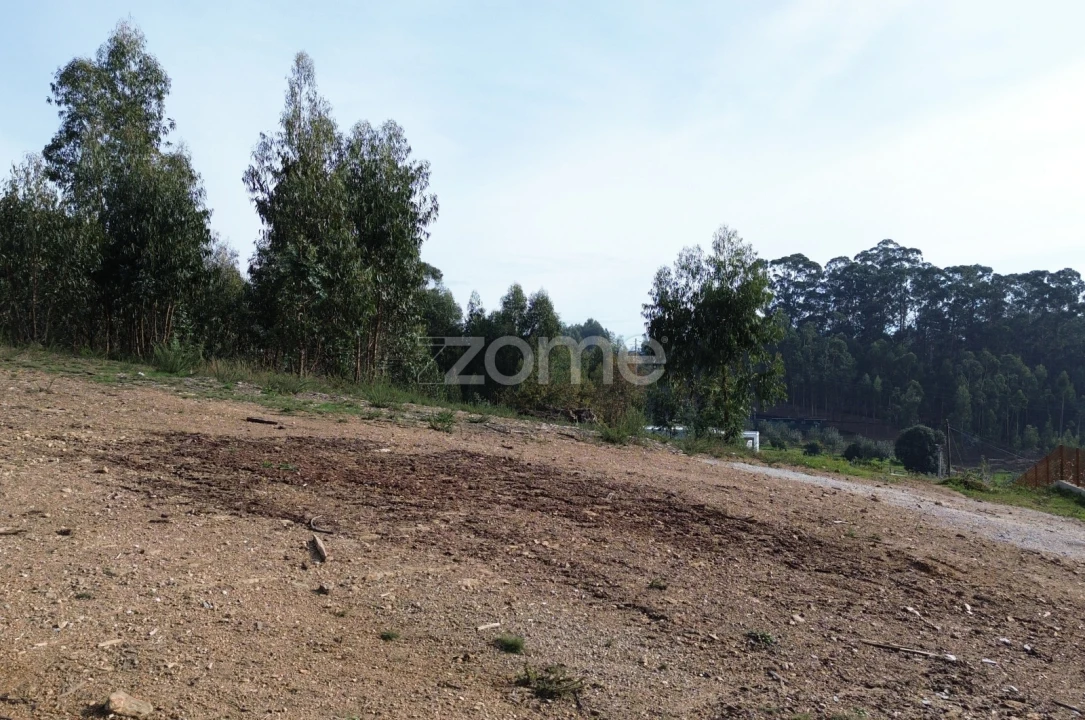 Terreno para Venda em Macieira da Lixa e Caramos Foto 7
