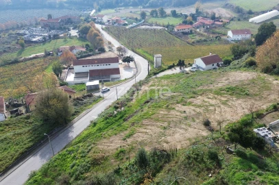Terreno para Venda em Torrados e Sousa