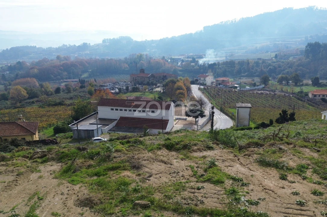 Terreno para Venda em Torrados e Sousa Foto 5