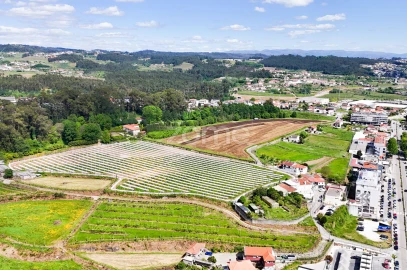 Terreno para Venda em Margaride, Várzea, Lagares, Varziela, Moure