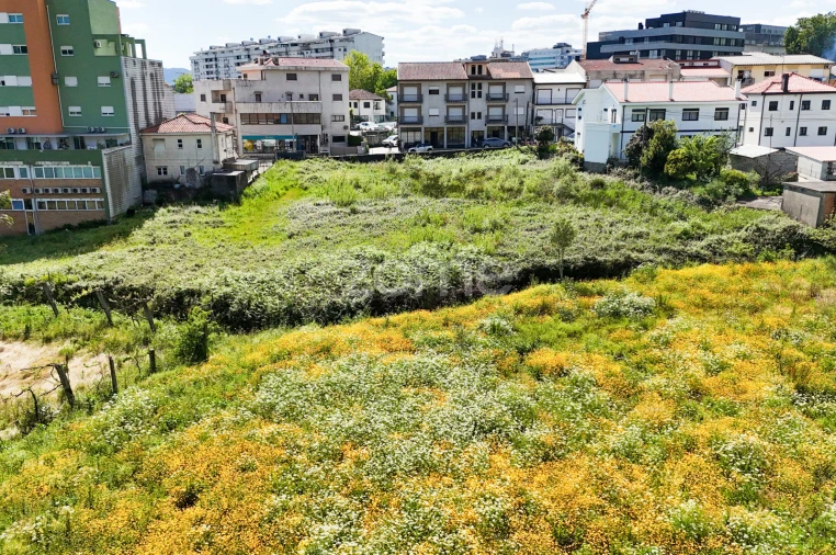 Terreno para Venda em Margaride, Várzea, Lagares, Varziela, Moure Foto 8