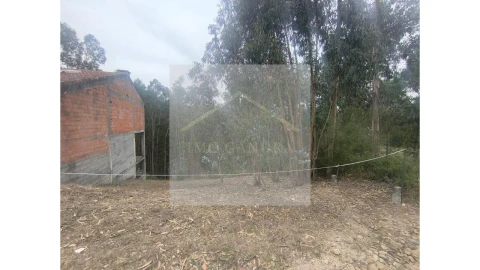 Terreno para Venda em Lagares e Figueira