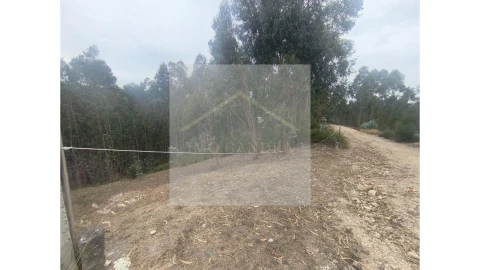 Terreno para Venda em Lagares e Figueira