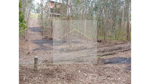 Terreno para Venda em Lagares e Figueira