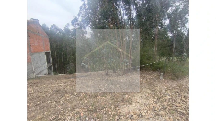 Terreno para Venda em Lagares e Figueira Foto 3