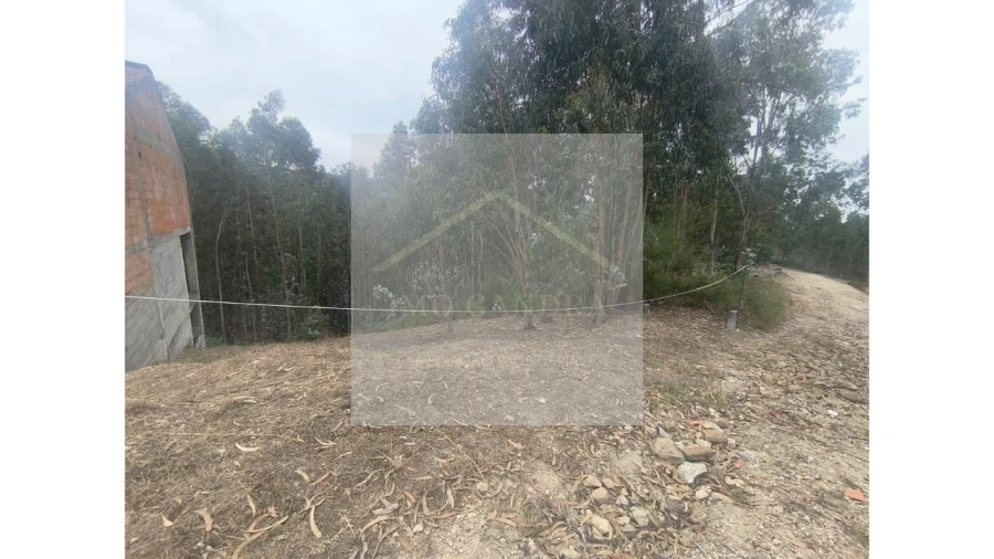 Terreno para Venda em Lagares e Figueira Foto 4