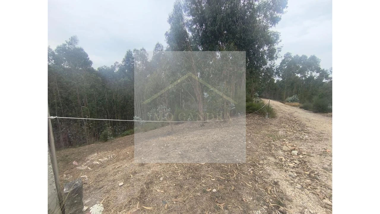 Terreno para Venda em Lagares e Figueira Foto 5