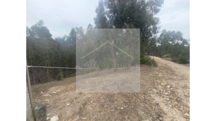 Terreno para Venda em Lagares e Figueira