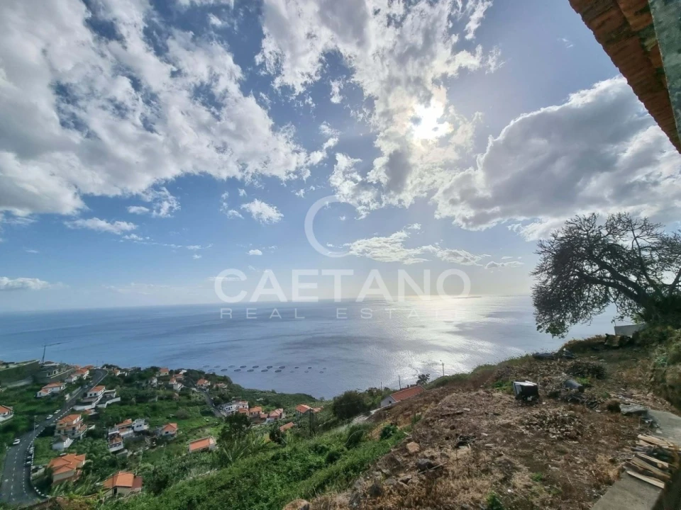 Terreno para Venda em Ribeira Brava Foto 3