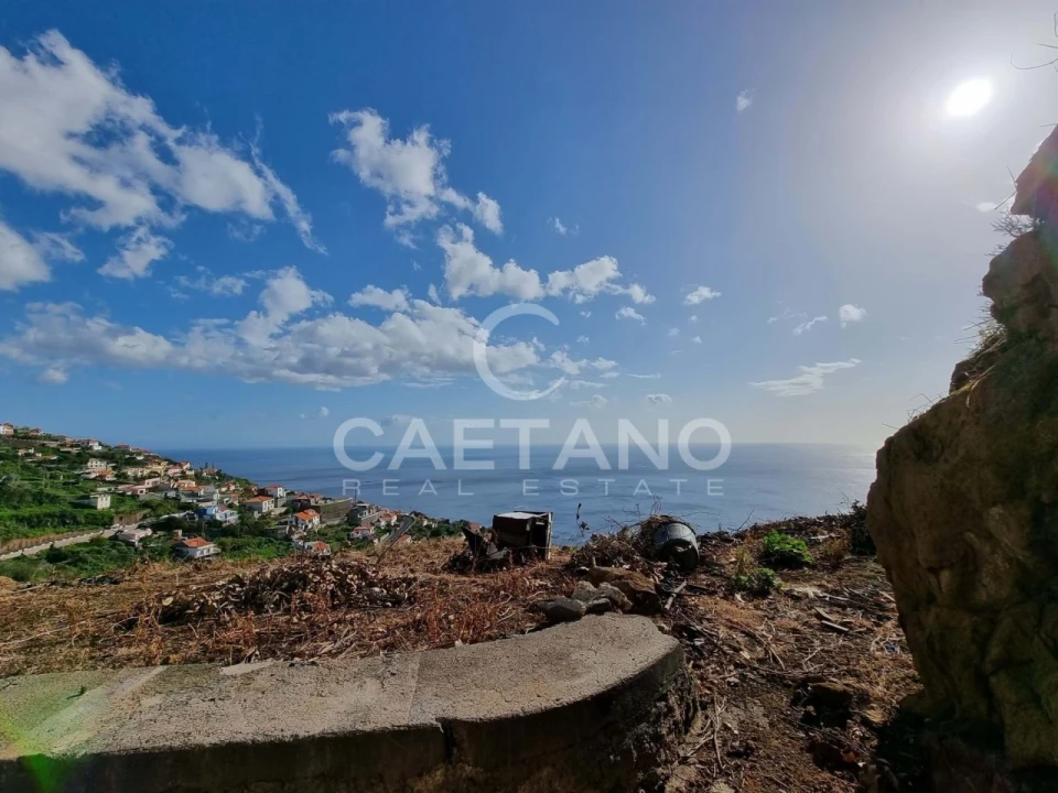 Terreno para Venda em Ribeira Brava Foto 11