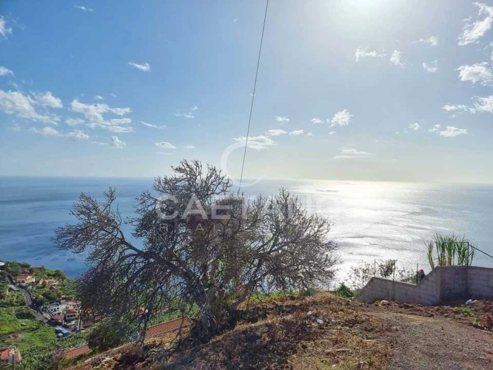 Terreno para Venda em Ribeira Brava Foto 14