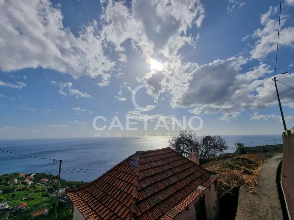 Terreno para Venda em Ribeira Brava Foto 12