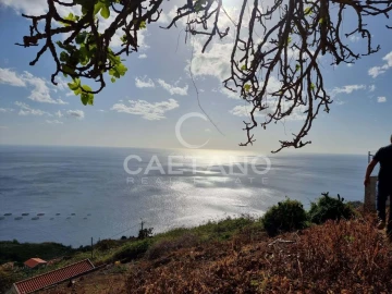 Terreno para Venda em Ribeira Brava