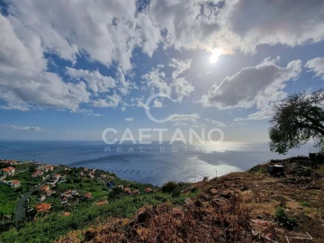 Terreno para Venda em Ribeira Brava