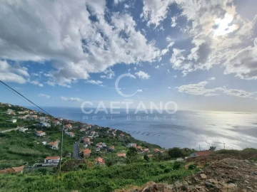Terreno para Venda em Ribeira Brava