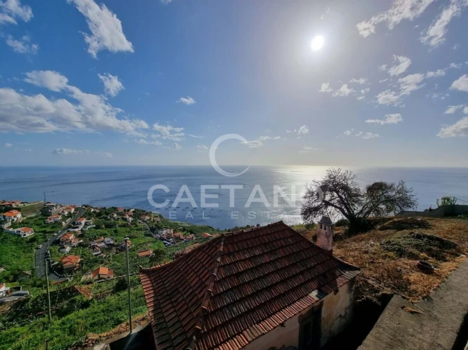 Terreno para Venda em Ribeira Brava Foto 13