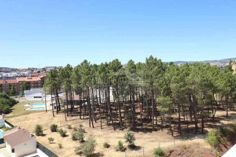 Apartamento T3 para Venda em Sé, Santa Maria e Meixedo Foto 19