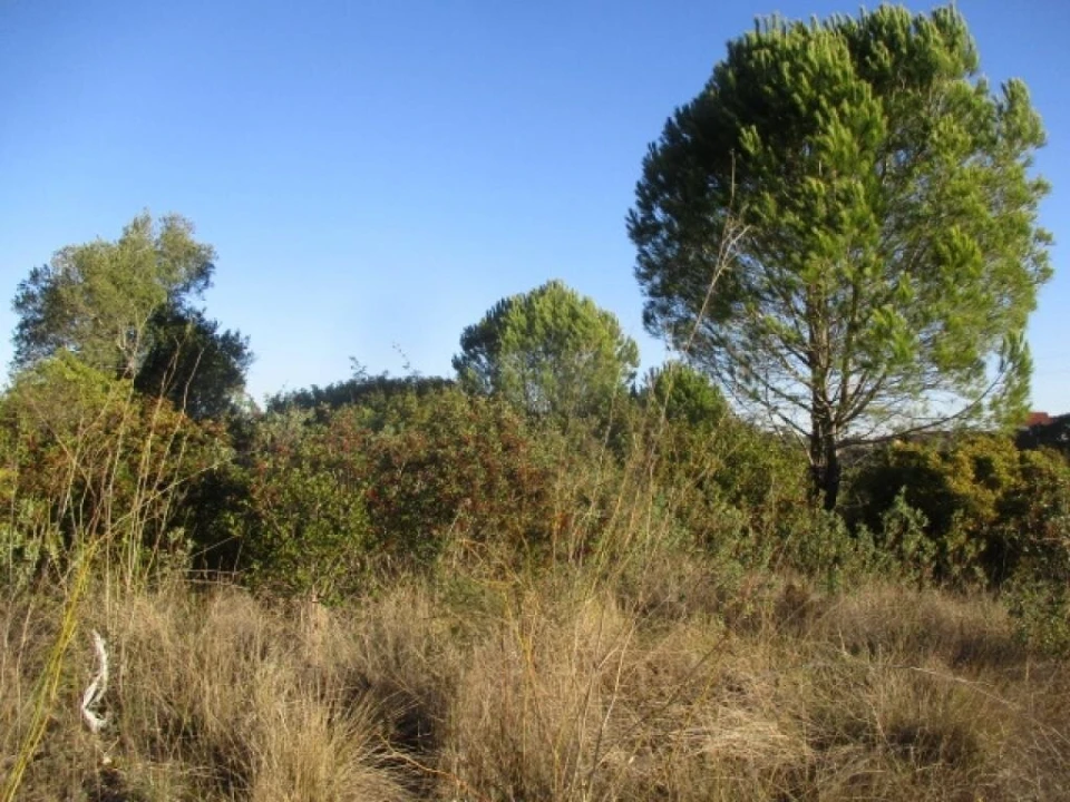 Terreno para Venda em Carregueiros Foto 4