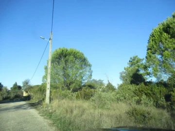 Terreno para Venda em Carregueiros